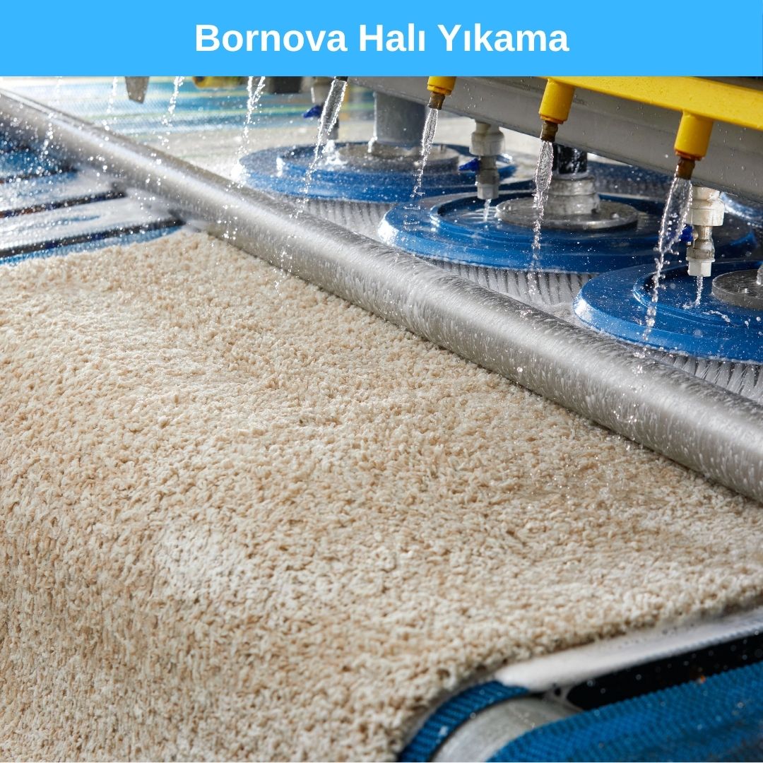 Bornova Halı Yıkama