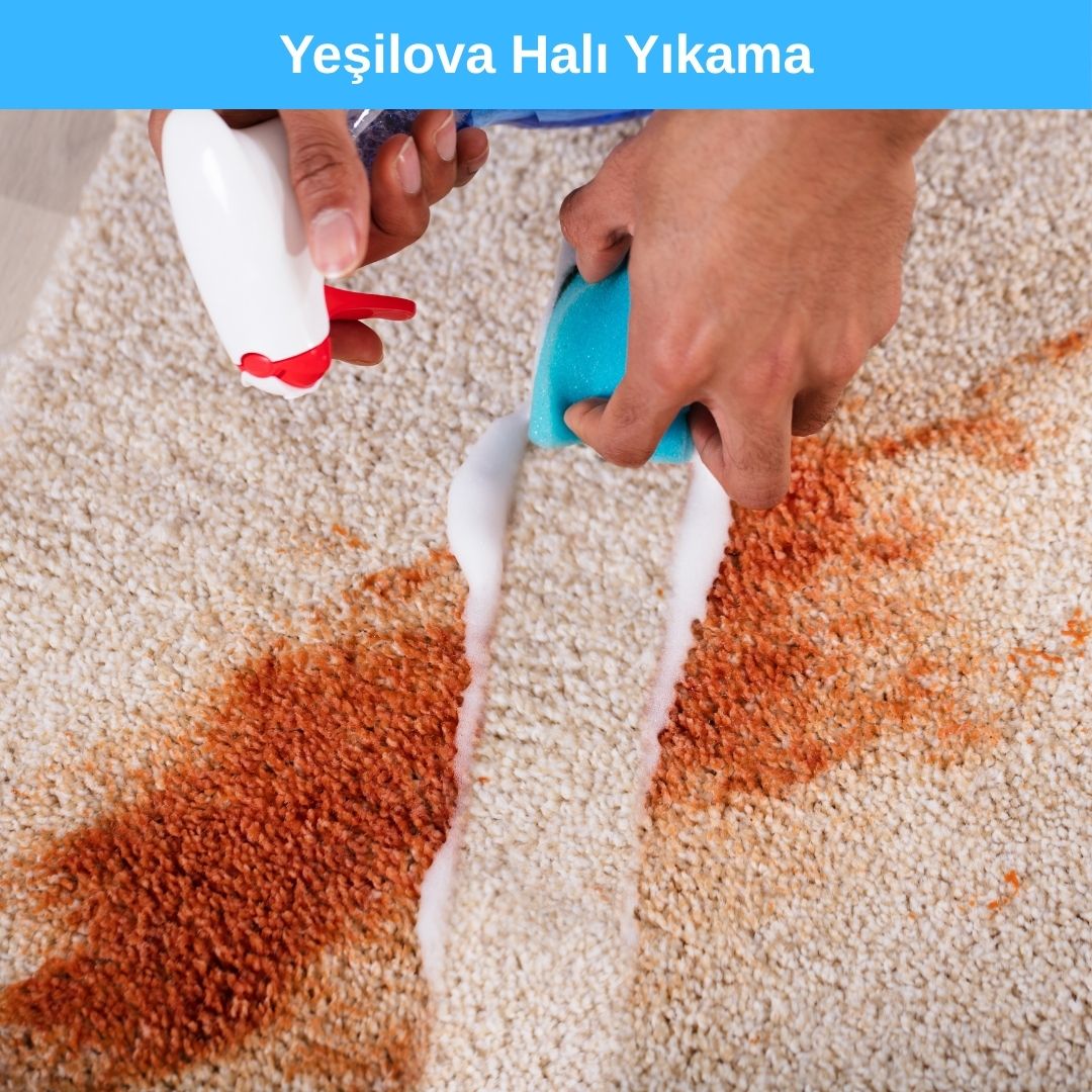 Yeşilova Halı Yıkama