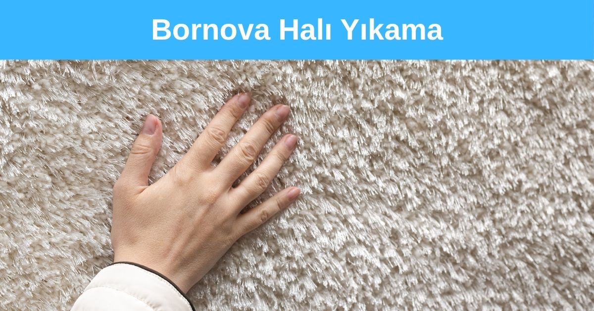 Bornova Halı Yıkama